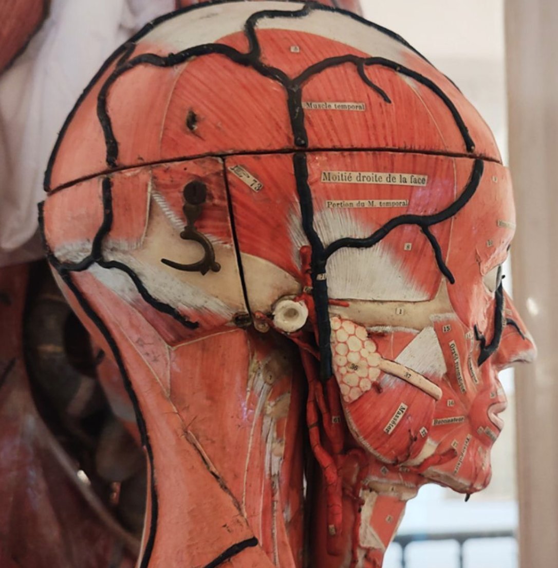 asi-somos-ies-san-isidro.blogspot.com/2025/10/el-hom…