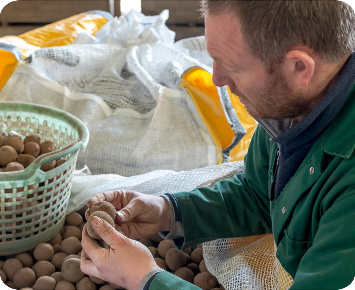 Milestone for #Agriculture &amp; #trade!

#UNECE #WP7 adopted the fully revised Standard S-1 for seed potatoes at its 80th session - strengthening transparency, quality &amp; trust in markets.

🔗unece.org/trade/document…

Thanks to all experts &amp; delegations!

#TradeStandards #FoodSecurity