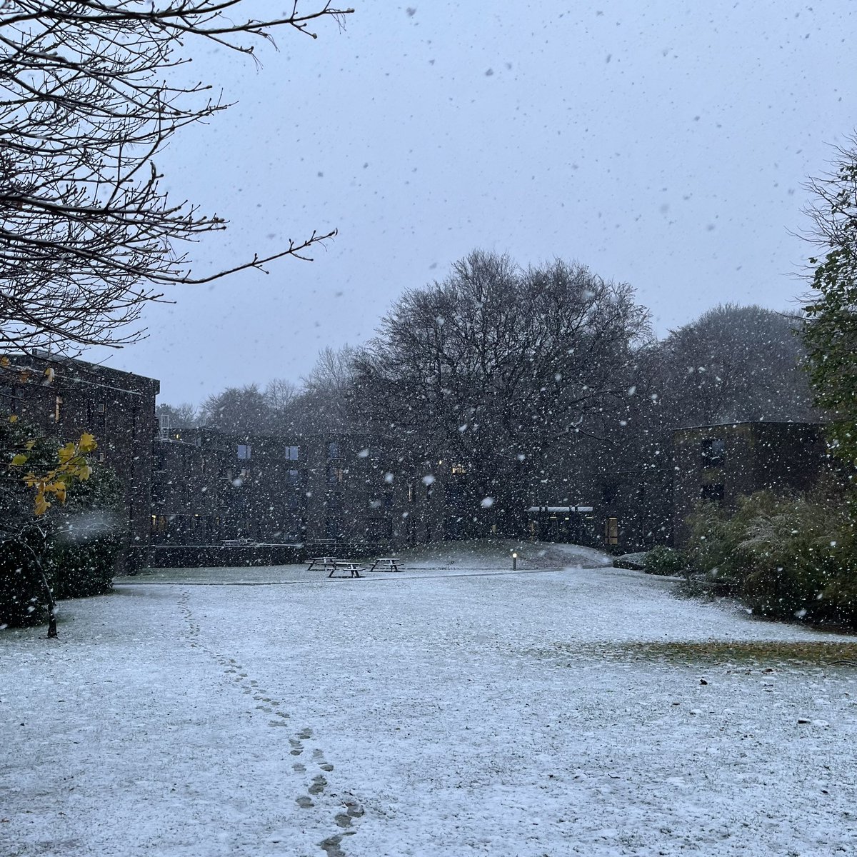 The snow has arrived <a href="/trevscollege/">Trevelyan College</a>! #TrevelyanCollege #explore #nature