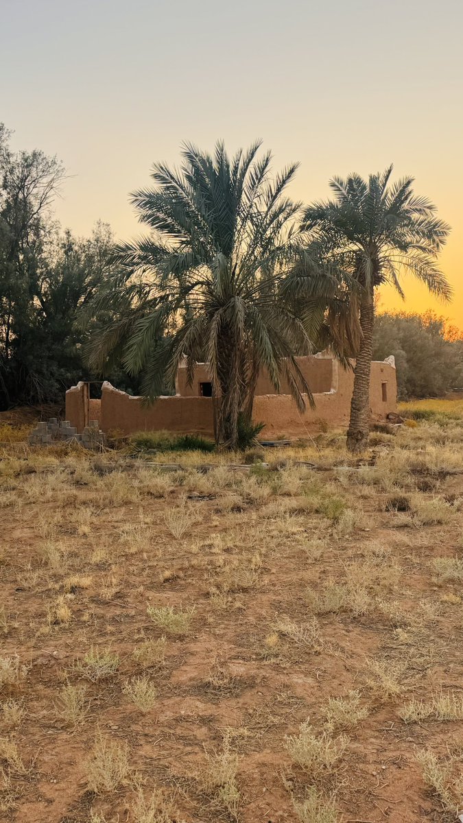 Oldalaqah's tweet image. مسجد الطوالة في ( مُلك سمحة ) جنوب #قرية_علقة_التاريخية  أحد  المساجد التاريخية بمحافظة الزلفي ،
أسس قبل عام 1290هـ .
أعيد ترميمه عام 1362هـ .
وفي عام1419هـ تم نقله من داخل المُلك الى طريق الملك عبدالعزيز ليسهل على المصلين الوصول للمسجد وتم بناؤه وفق المعايير الحديثة .