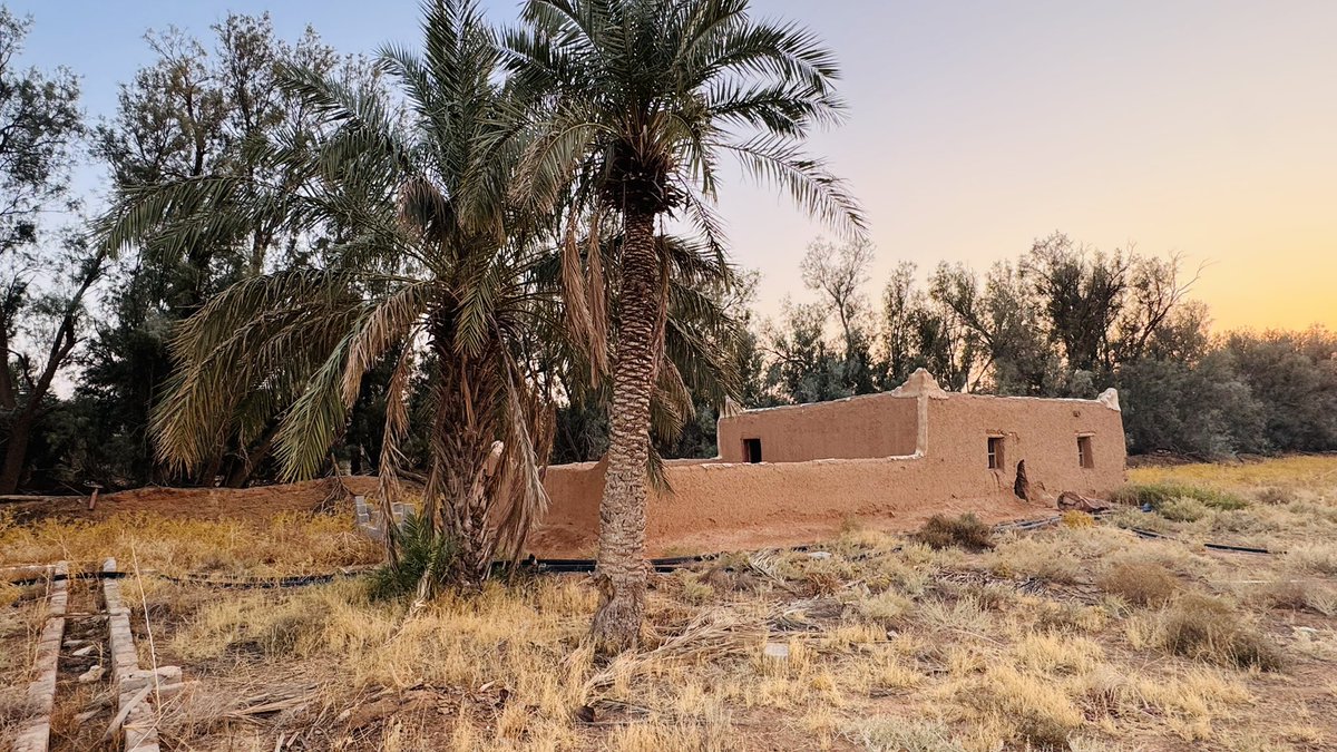 Oldalaqah's tweet image. مسجد الطوالة في ( مُلك سمحة ) جنوب #قرية_علقة_التاريخية  أحد  المساجد التاريخية بمحافظة الزلفي ،
أسس قبل عام 1290هـ .
أعيد ترميمه عام 1362هـ .
وفي عام1419هـ تم نقله من داخل المُلك الى طريق الملك عبدالعزيز ليسهل على المصلين الوصول للمسجد وتم بناؤه وفق المعايير الحديثة .