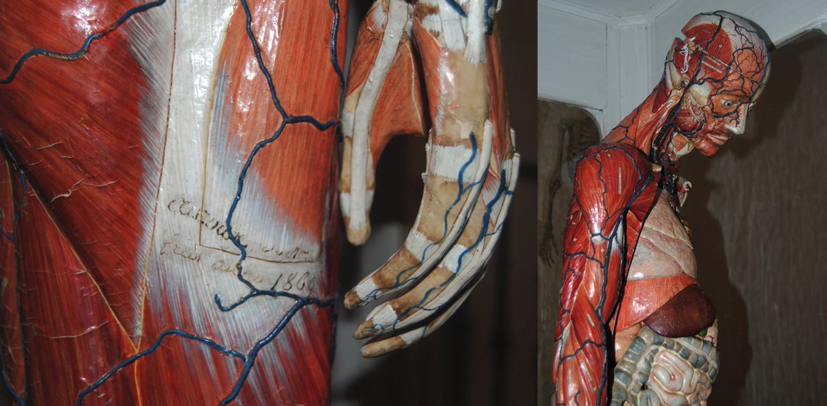 Nuevo post en el blog: “El Hombre Clástico en el Museo del Instituto San Isidro” 🔗 asi-somos-ies-san-isidro.blogspot.com/2025/10/el-h... #HistoriaDeLaCiencia #MuseoSanIsidro #HombreClástico #Educación #CulturaCientífica