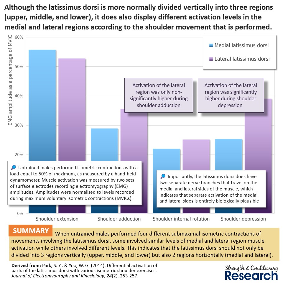 SandCResearch's tweet image. Although we tend to divide the latissimus dorsi into functional regions from top to bottom, there are data suggesting that some variations also occur mediolaterally. Exactly how these regions could be targeted by exercise selection is unclear, however.