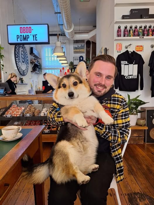 Corgi Lovers tweet media