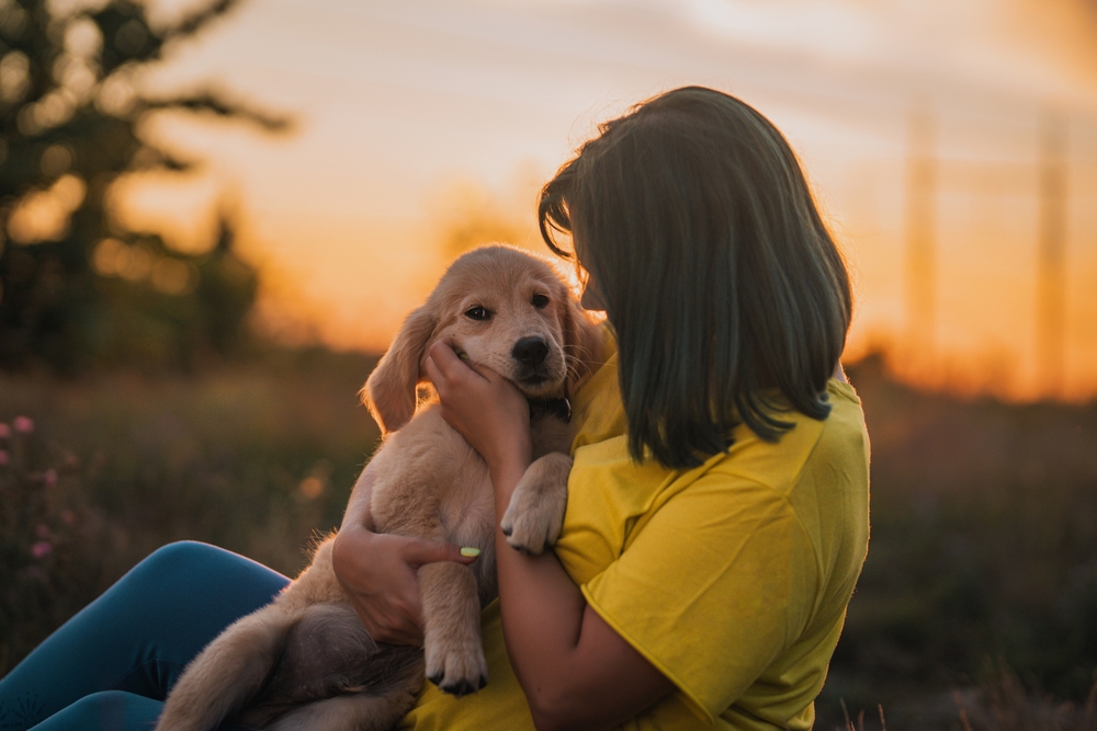 Pet Product Marketing Abroad: Where It Works, How It Hits, &amp; What We Can Learn
 everything-pr.com/pet-product-ma… 
In recent years pet ownership has grown strongly around the world; pets are increasingly seen as family, not just animals to feed or care for. This cultural shift enables ...