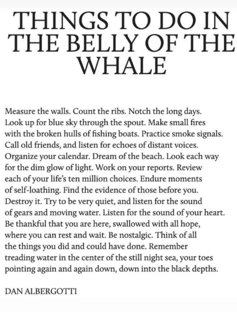 mandazipapi's tweet image. 