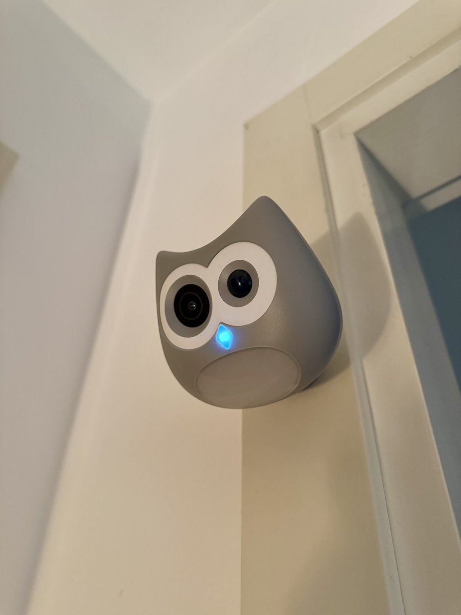 MikyAncona's tweet image. Sto testando il LitterLens di Siipet e devo dire che mi sta sorprendendo: nasce per i gatti, ma io lo sto usando per controllare i miei chihuahua… e funziona benissimo! 🐾📹 #mikyancona #mikyanconatech
#LitterLens #Siipet #PetCam #PetCareTech #PetMonitor @siipetofficial