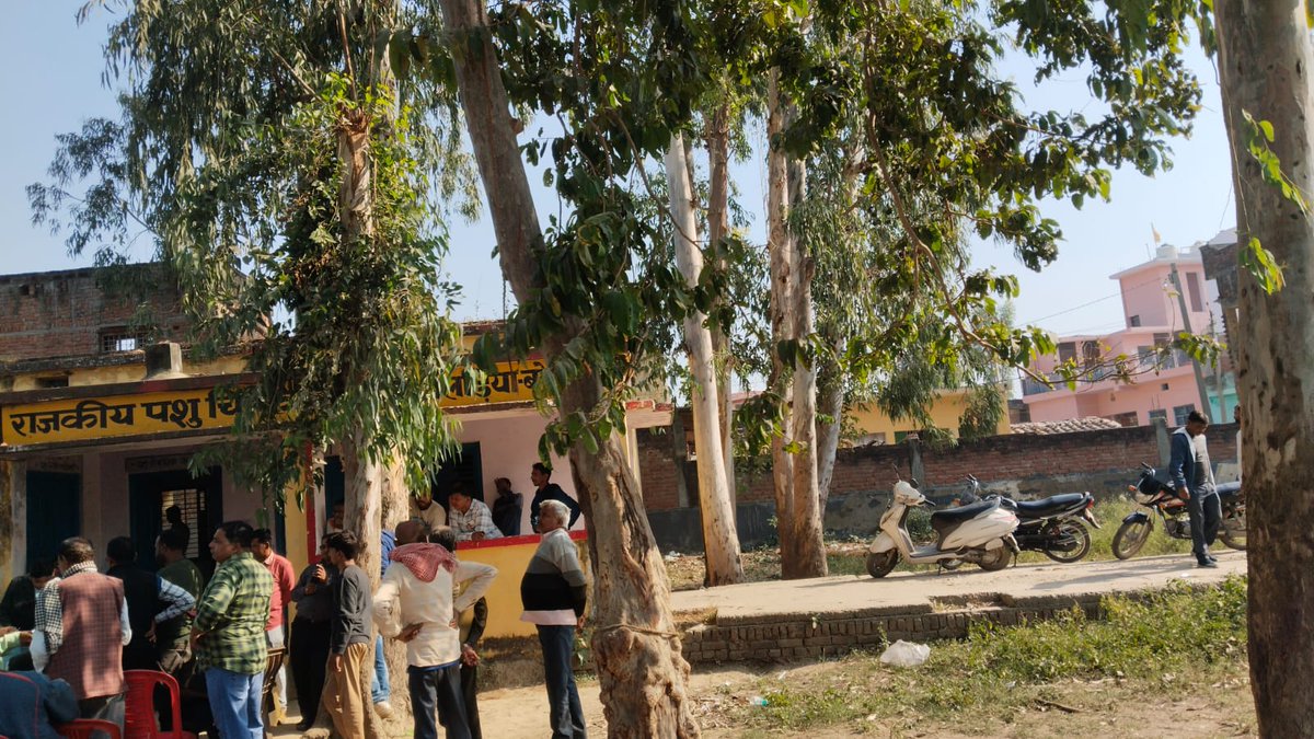 #बरेली राजकीय पशु चिकित्सालय क्योलडिया में लिप्टिस के पेड़ों की नीलामी में हुआ घोटाला सभी ठेकेदारों ने मिलकर बोली को आगे नहीं बढ़ाया लकड़ी की बाजरो कीमत इस समय 2 लाख रुपए है जबकि बोली 1.30 लाख में ही बेच दिया कृपया जांच कर कठोर कार्रवाई करें
<a href="/CMOfficeUP/">CM Office, GoUP</a> <a href="/dmbareilly/">DM Bareilly</a> <a href="/CdoBareilly/">CDO Bareilly</a>