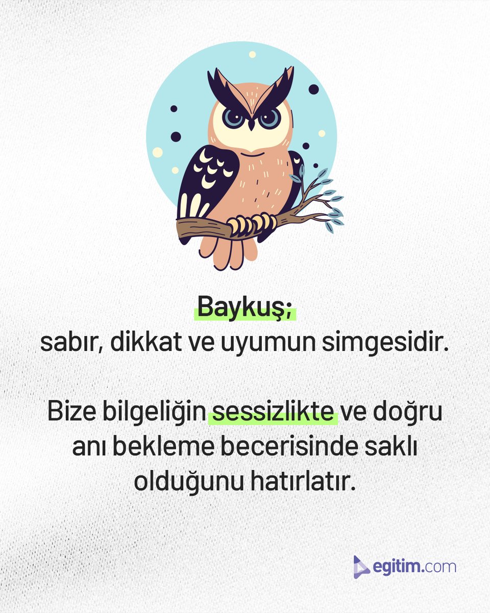 egitim_com's tweet image. Doğanın öğretmenleri baykuşlar, keskin duyuları ve sessiz uçuşları sayesinde avlanmada stratejik avantaj elde eder.

Onlardan öğrenebileceğimiz en önemli ders; sabır, dikkat ve doğru zamanı beklemektir. 🦉✨

#Egitimcom #EğitimeDeğer #DoğanınÖğretmeni #Baykuşlar #DoğaSevgisi