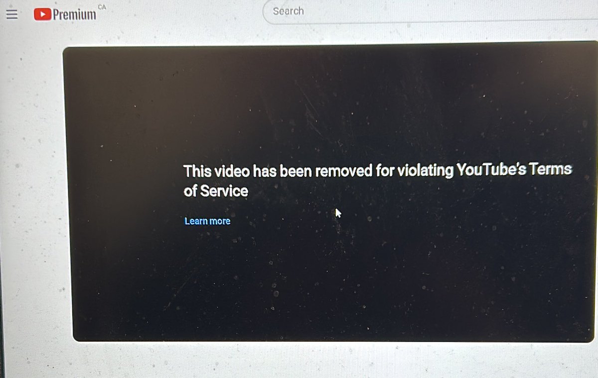 Steve_Talon's tweet photo. I see @Sugar_Tits_Bear has been thrown into YouTube jail. #freeSugarTits! https://t.co/8AbDeFB4Ho