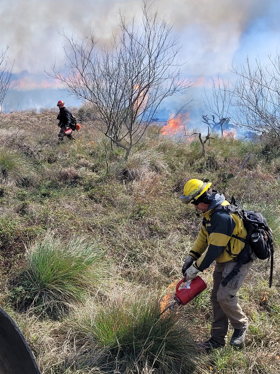 USFWSFire's tweet image. We’re #hiring two GW-08 Lead Wildland Firefighters.

One position at Central Washington National Wildlife Refuge Complex &amp;amp; one @ Texas Midcoast Refuges Complex.

Same mission. Different tacos.

Apply by 12/1 ➡️ bit.ly/47JAzfi

#NotYourOrdinaryJob @USFWSCareers