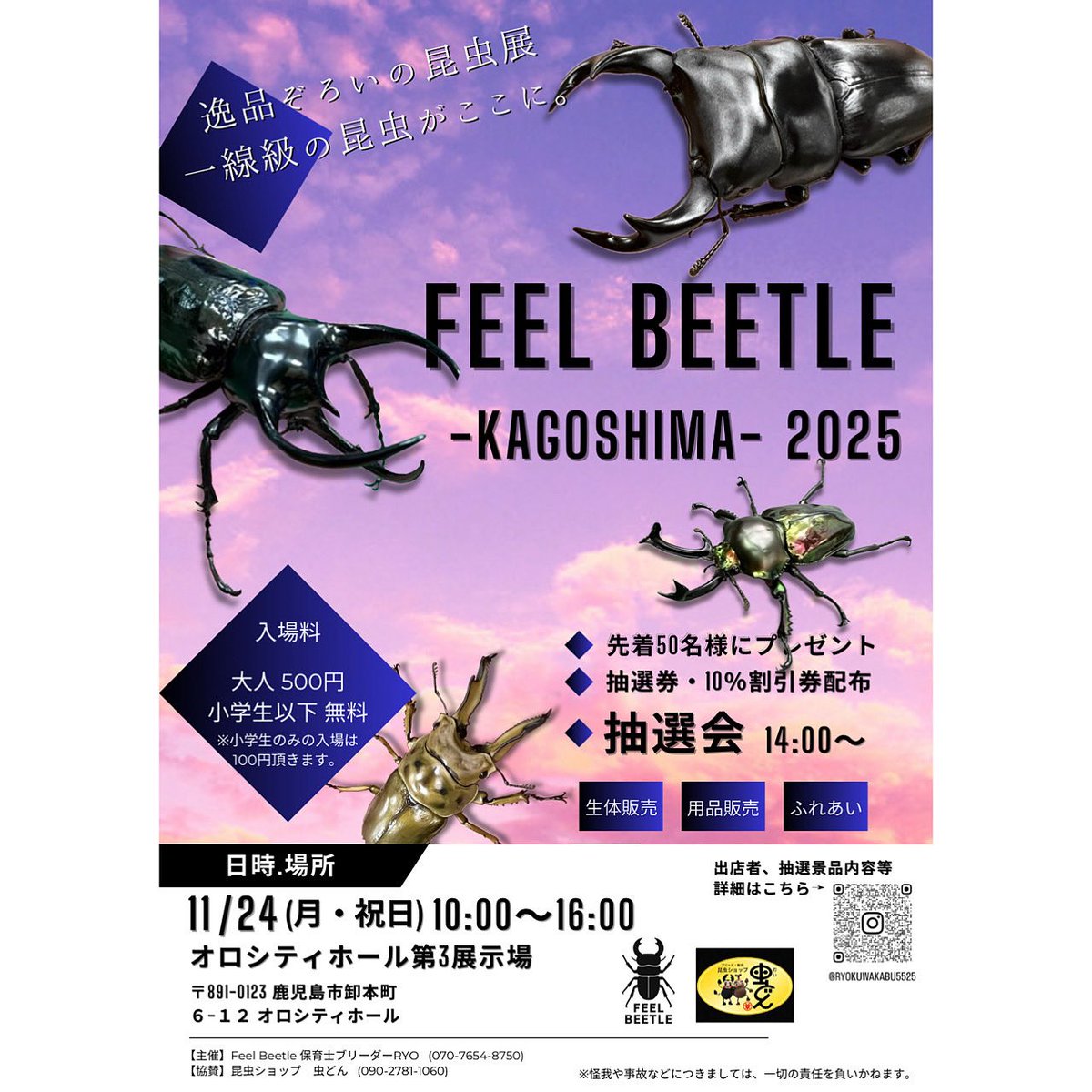 カブクワブリーダー maxresdefault.jpg