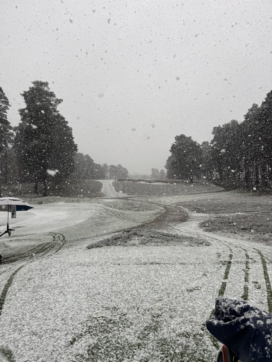 Frank Webster tweet media