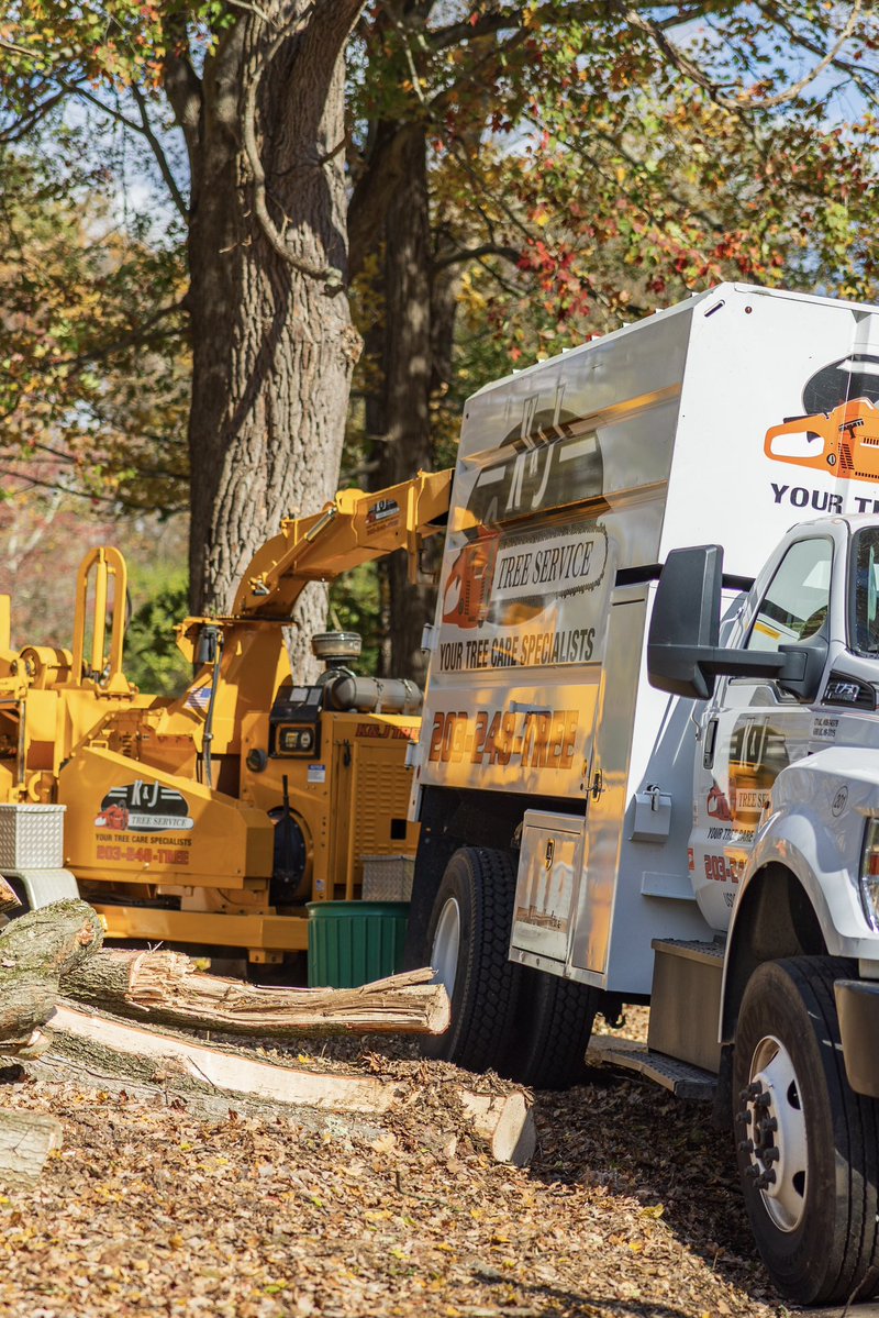 KJTreeService's tweet image. Another beautiful fall day! 🍂🍂
-
-
-
#TreeService #TreeRemoval #TreeCare #TreeExperts #TreeTrimming #TreeWork #StumpGrinding #TreeHealth #ArboristLife #TreeMaintenance #EmergencyTreeService