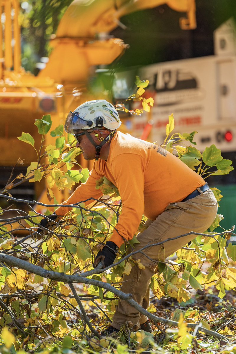 KJTreeService's tweet image. Another beautiful fall day! 🍂🍂
-
-
-
#TreeService #TreeRemoval #TreeCare #TreeExperts #TreeTrimming #TreeWork #StumpGrinding #TreeHealth #ArboristLife #TreeMaintenance #EmergencyTreeService