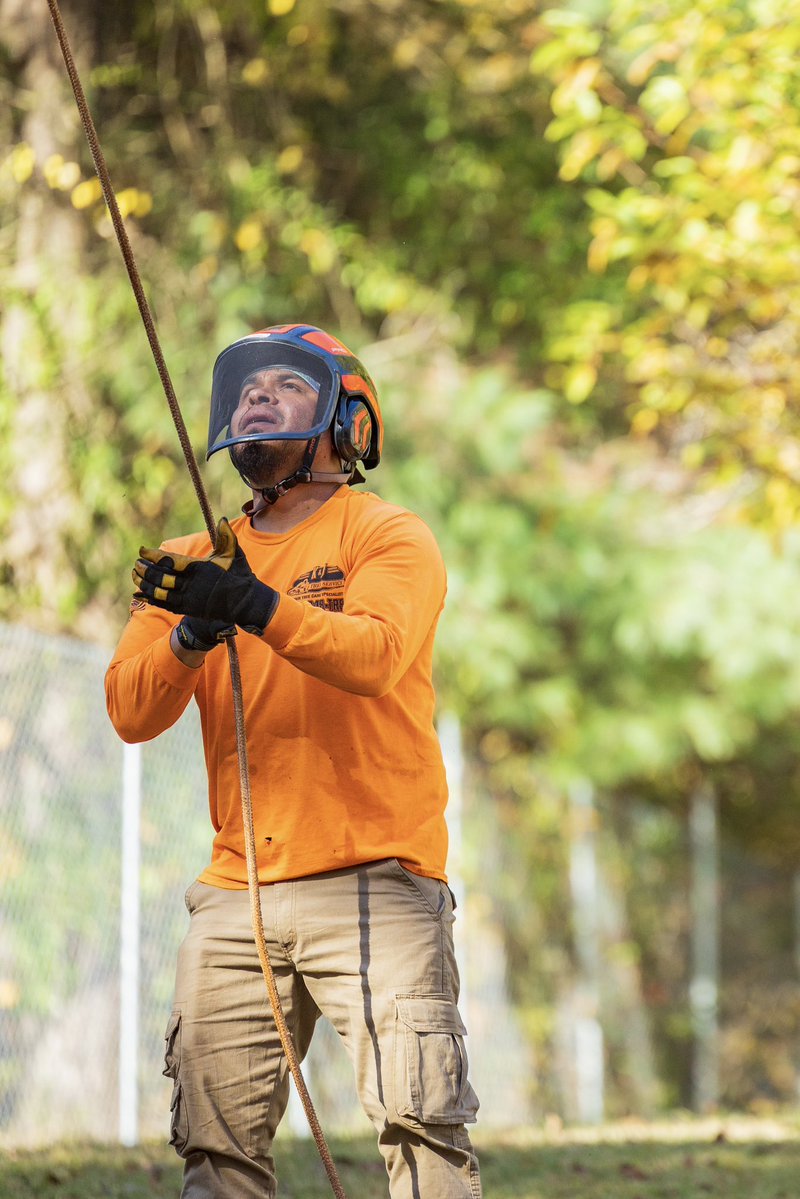 KJTreeService's tweet image. Another beautiful fall day! 🍂🍂
-
-
-
#TreeService #TreeRemoval #TreeCare #TreeExperts #TreeTrimming #TreeWork #StumpGrinding #TreeHealth #ArboristLife #TreeMaintenance #EmergencyTreeService