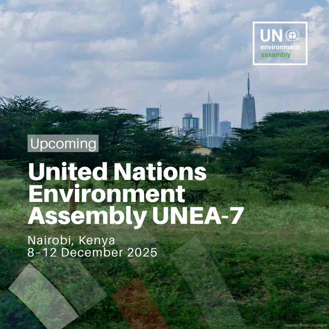 UN Kenya tweet media