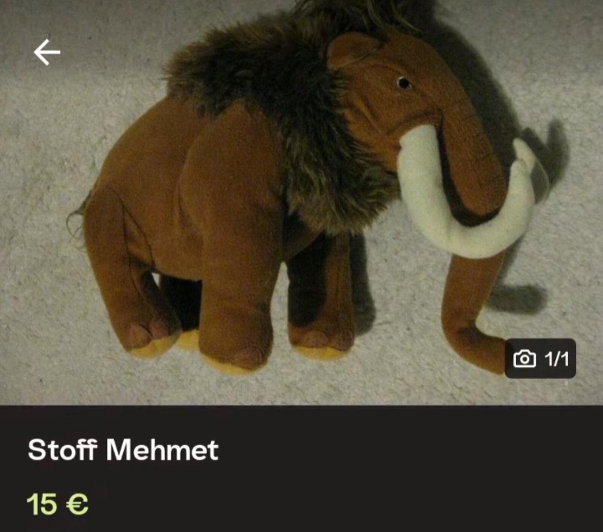 Couseng zirkulieren tweet media