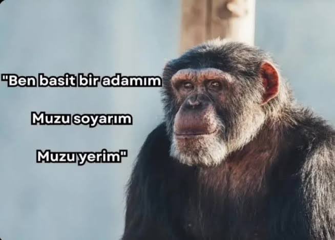 Gayet netiz. Net yazarız, net hareket ederiz. İşimiz gücümüz var, savaşacağız daha