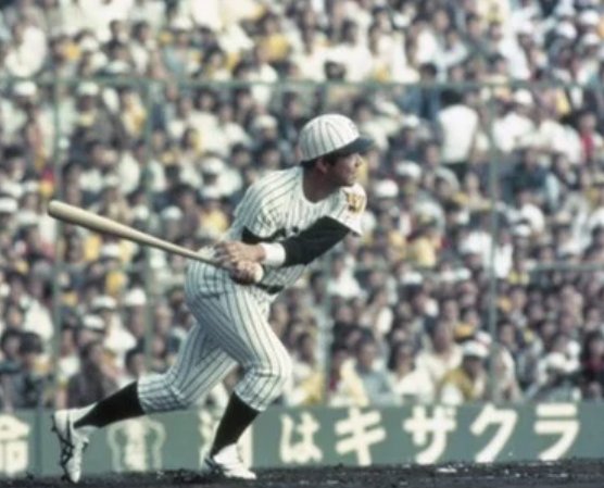 値下げ　ミスタータイガース　掛布雅之　超貴重　コレクション一式 プロ野球 #阪神タイガース 4代目 #ミスター・タイガース とし活 #掛布