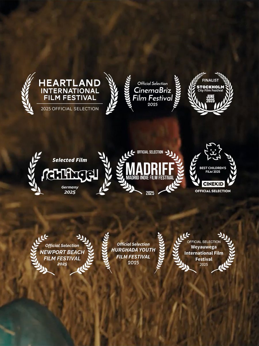 birdboythemovie's tweet photo. 🎉 BIRD BOY HAS TAKEN FLIGHT! 🌎

Seeing our film resonate with audiences in different countries is a dream come true, and we are grateful for every selection, screening, and moment of support. Thank you to the festival juries, our cast and crew, and everyone who supported us! https://t.co/BZInA2HbKU