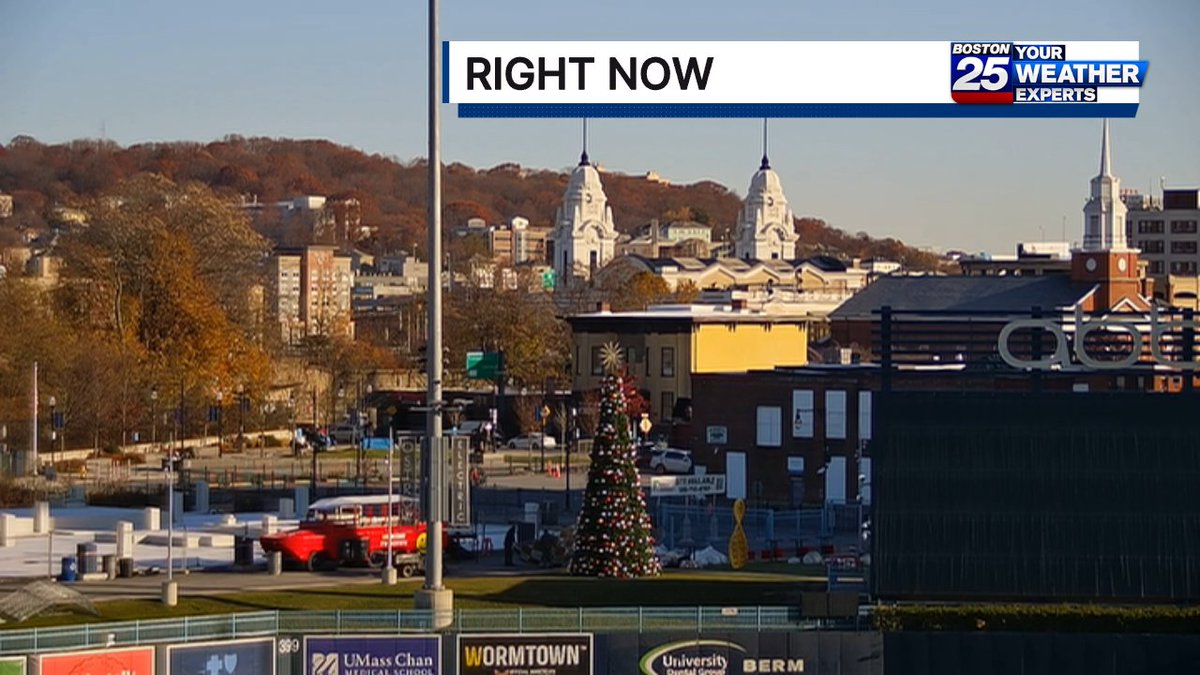 ShiriSpear's tweet image. The #christmastree is up @PolarPark !🌟🎄