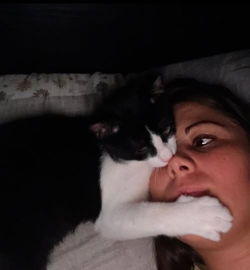 ATTENZIONE🆘🆘 🆘🆘Silvana ☎️3394765657🐈D’altronde tutti gli animali sono desiderosi di ricevere solamente il nostro amore. 
facebook.com/permalink.php?…  TOPINO, ha circa 6 mesi ASPETTA QUALCUNO CHE L'ACCOLGA CON AMORE ADOTTATELO Benevento #4voiceless