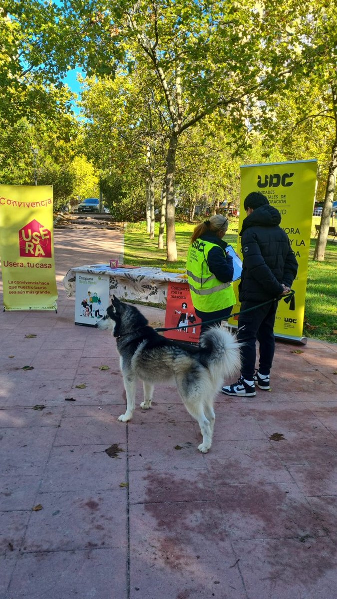 jmd_usera's tweet image. 📍Seguimos por los barrios de #Usera con la campaña #Compartecontumascota para mejorar la convivencia
Esta vez acompañados de animales y en colaboración con #UseraEscucha y las #UDC
😉¿Te sumas?
#UseraTuCasa
ℹTe dejamos los próximos puntos y fechas👇
👉informate.madrid.es/zujwi