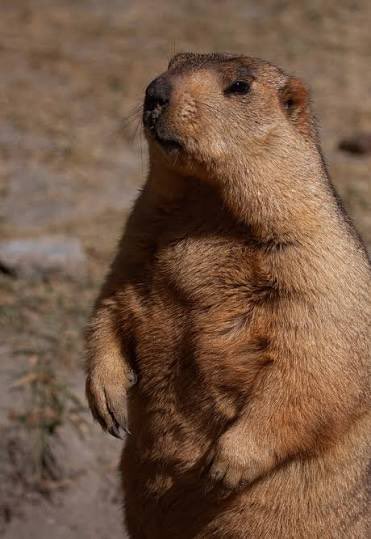 MauriceMathBook's tweet image. !