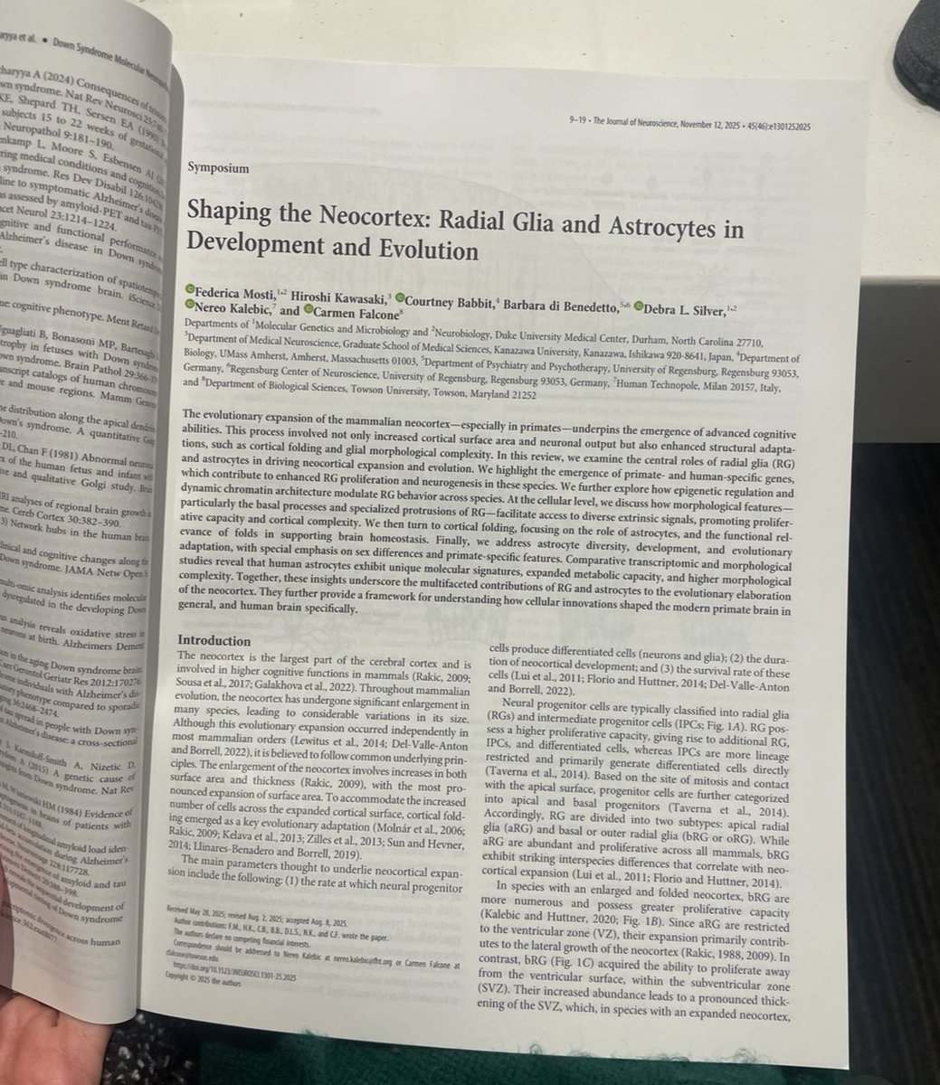If you missed our Minisymposium at #SfN2025, you can still catch up with some of the topics by reading our new review: 

jneurosci.org/content/45/46/…

Also, got the printed version of this paper (and many more)🤩 <a href="/SfNtweets/">Society for Neuroscience (SfN)</a>