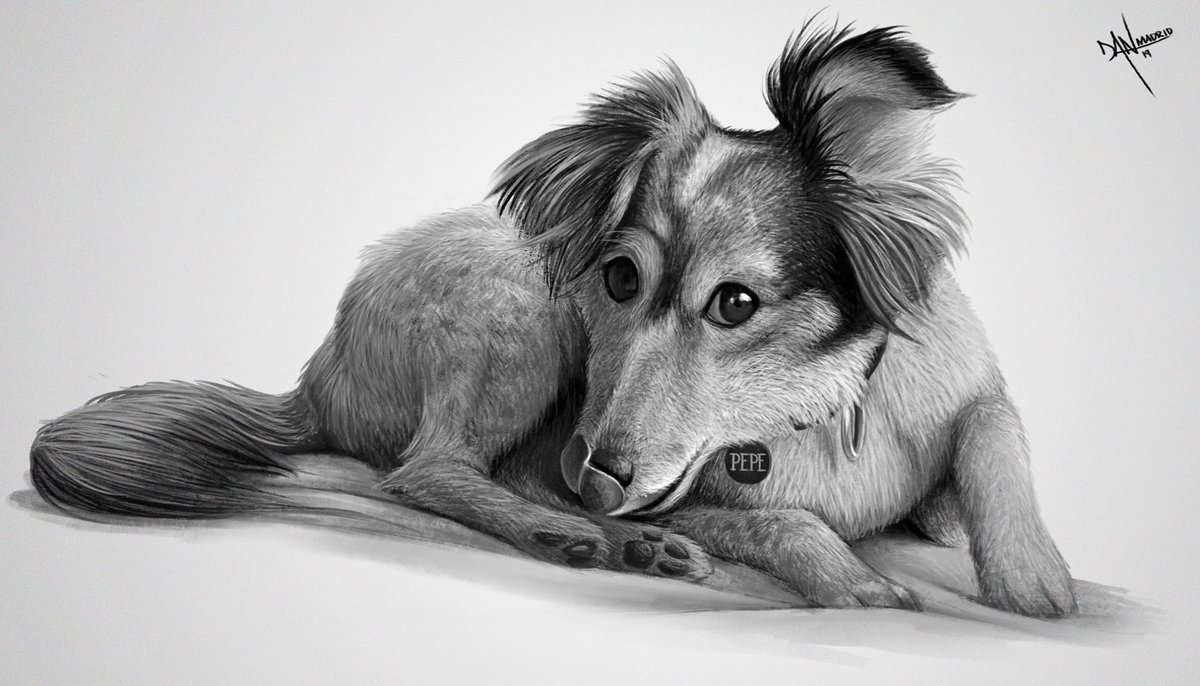 Danderfull_'s tweet photo. Yes... I used to draw little doggies back in the day 🖤 #danderfull #DogLovers #drawing https://t.co/TWwzdEW90e