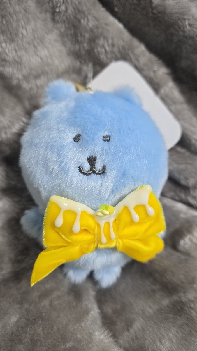 저의 새로운 곰 소개합니다