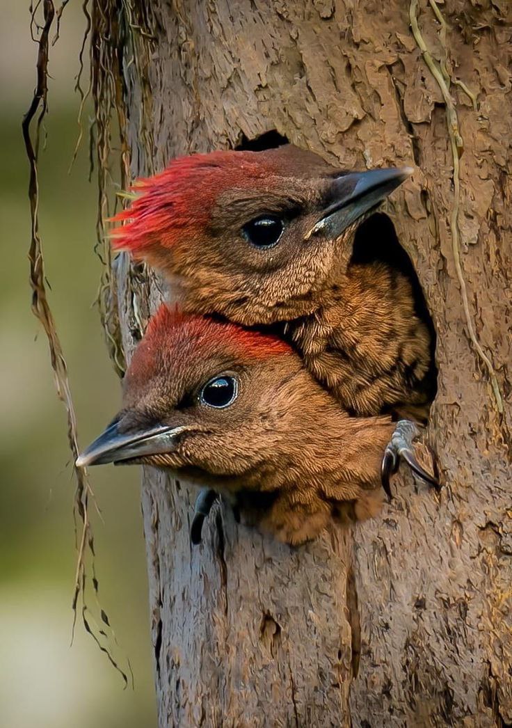 "What you wish upon others will happen to you, so only wish well."-Imam Ali
#NaturePhotography