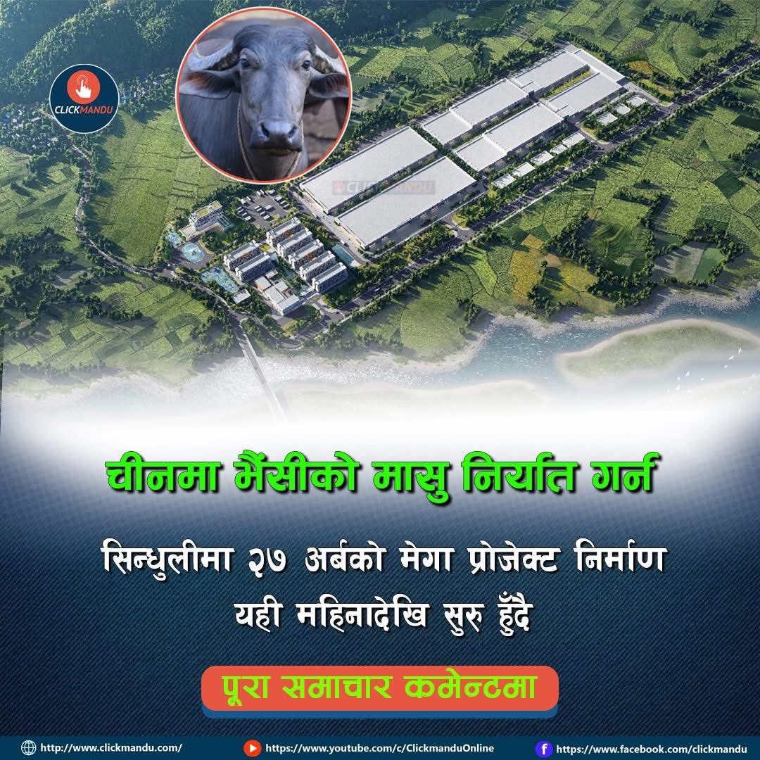 चीनमा रागा भैंसीको मासु निर्यात गर्न सिन्धुलीमा २७ अर्बको मेगा प्रोजेक्ट निर्माण यही महिनादेखि सुरु हुँदै
सोमबारसम्म एफडीआईको रकम रिलिज हुने, १७ बिगाहा जग्गा पास
