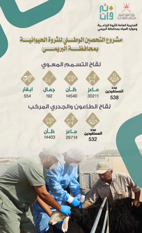 احصائيات المشروع التحصين الوطني للثروة الحيوانية بمحافظة البريمي لشهر اكتوبر / 2025م.

<a href="/MAFWR_OM/">وزارة الثروة الزراعية والسمكية وموارد المياه</a> 
#البريمي
#محافظة_البريمي 
#المديرية_العامة_للثروة_الزراعية_وموارد_المياه_بمحافظة_البريمي