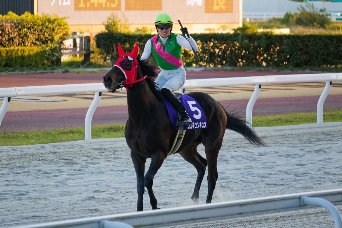 ラブミーチャン記念で優勝した
兵庫所属のココキュンキュン
レース後、コースを1周してスタンド前でウイニングラン

優勝した山本咲希到 騎手と同じく
ココキュンキュンも笑顔でスタンドからの歓声に応えていました