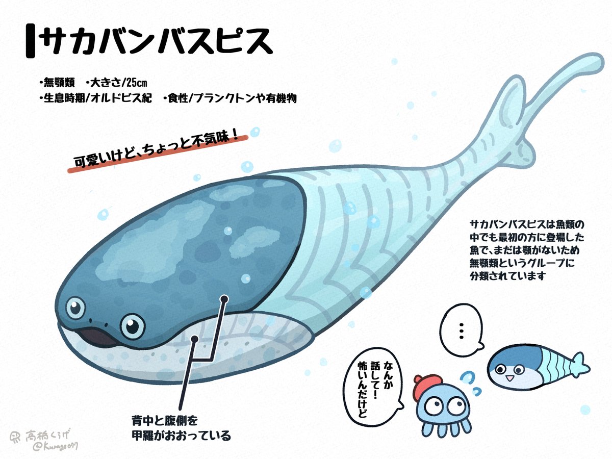 高橋くらげ (@Kurage077) / Posts / X