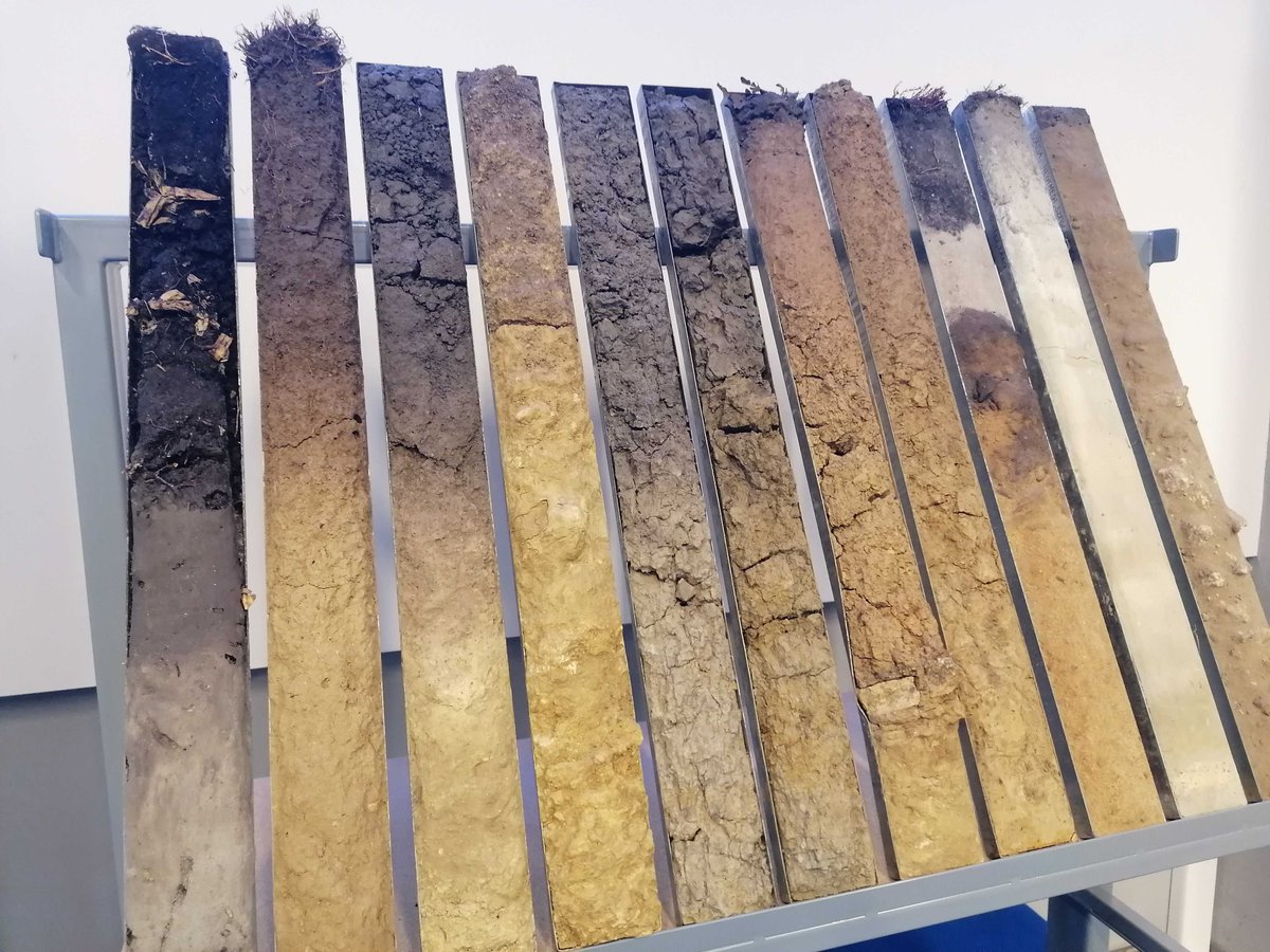 CEEweb for Biodiversity tweet media