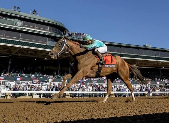 HORSERACING1002's tweet photo. WHITMORE 🇺🇸 2013
(PLEASANTLY PERFECT- MELODY'S SPIRIT BY SCAT DADDY)
#Whitmore
B/ John Liviakis (Ky) Jan 23, 2013 Gelding
O/ La Penta , Moquet
T/ Ron Moquet
43-15-13-5---$4,502,350 
2020 Champion Sprinter
Breeder's Cup Sprint G1,forego S G1, Count Fleet Sprint H G3, (3), Phoenix S G2, Maryland Sprint S G3, Hot Springs S (4).
2nd Breeder's Cup Sprint S G1, Rebel S G2, Southwest S G3, Count Fleet Sprint H (2), Belmont Sprint Championship S G2, Frank J De Francis Memorial Dash G3, Phoenix S G2 (2), True North S G2, Alfred G Vanderbilt H G1, Hot Springs S, King Cotton;s S
3rd Breeder's Cup Sprint G1, Arkansas Derby G1, Churchill Downs S G1, Alfred G Vanderbilt H G1, True North S G2.