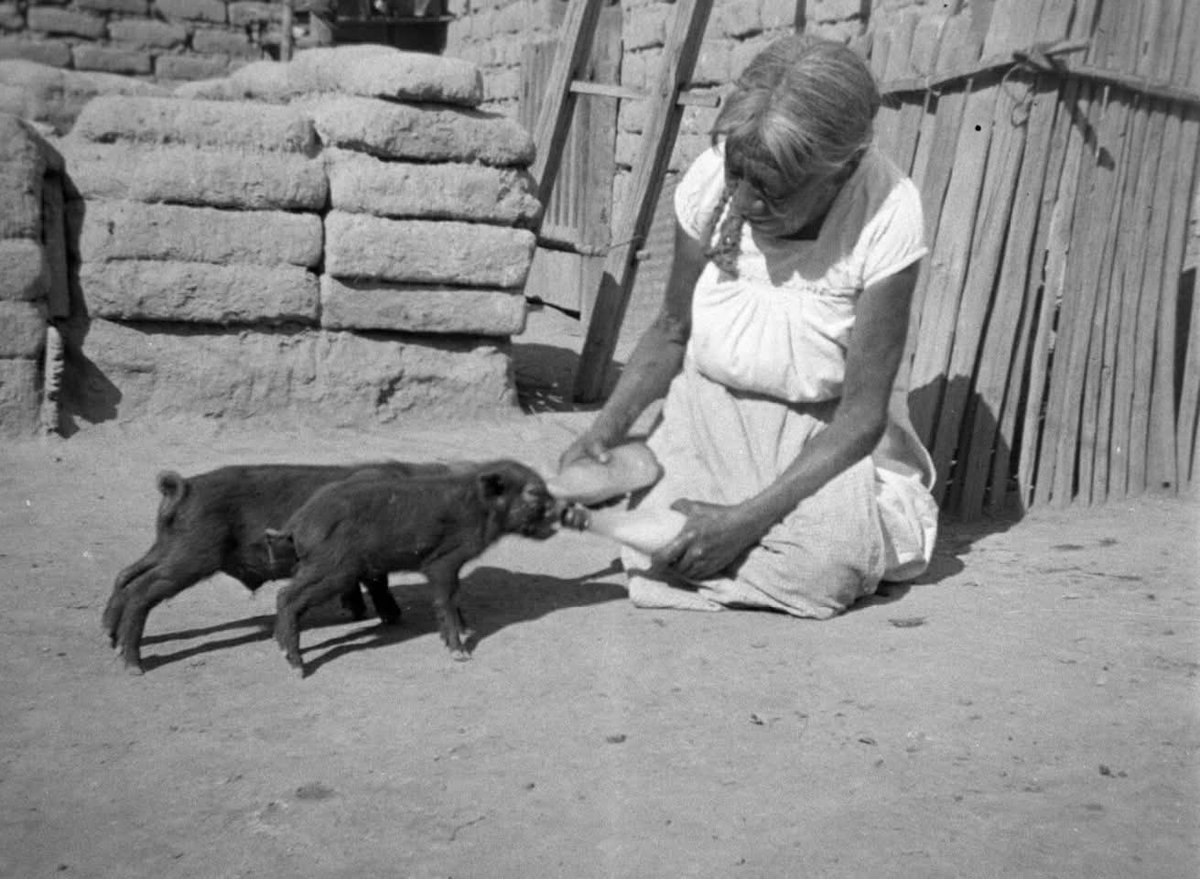 Lycaones's tweet image. San Miguel Chiconcuac, Estado de México. Fotografías atribuidas a Bodil Christensen, probablemente tomada en 1931.