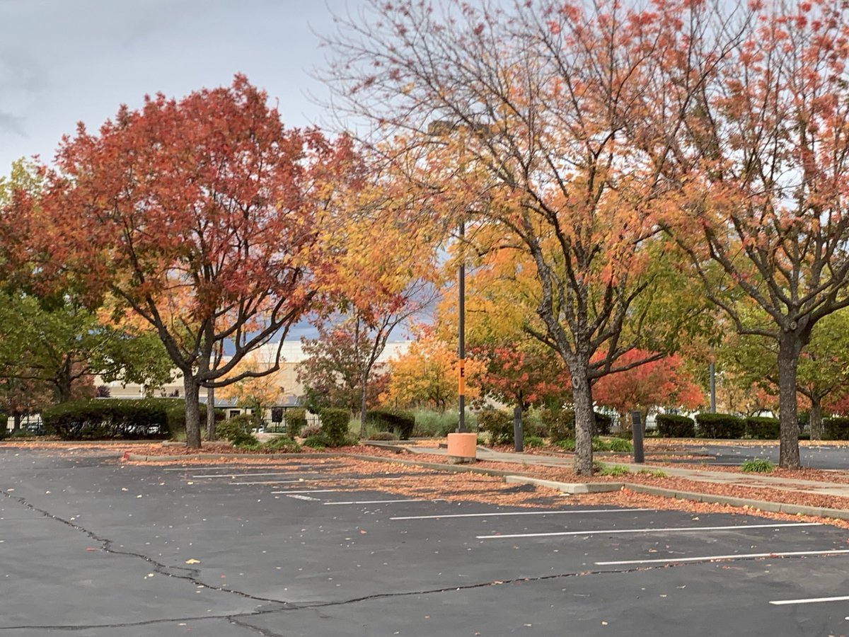 CustomSamshine's tweet photo. The colors of fall. https://t.co/jGMeSQTTyp