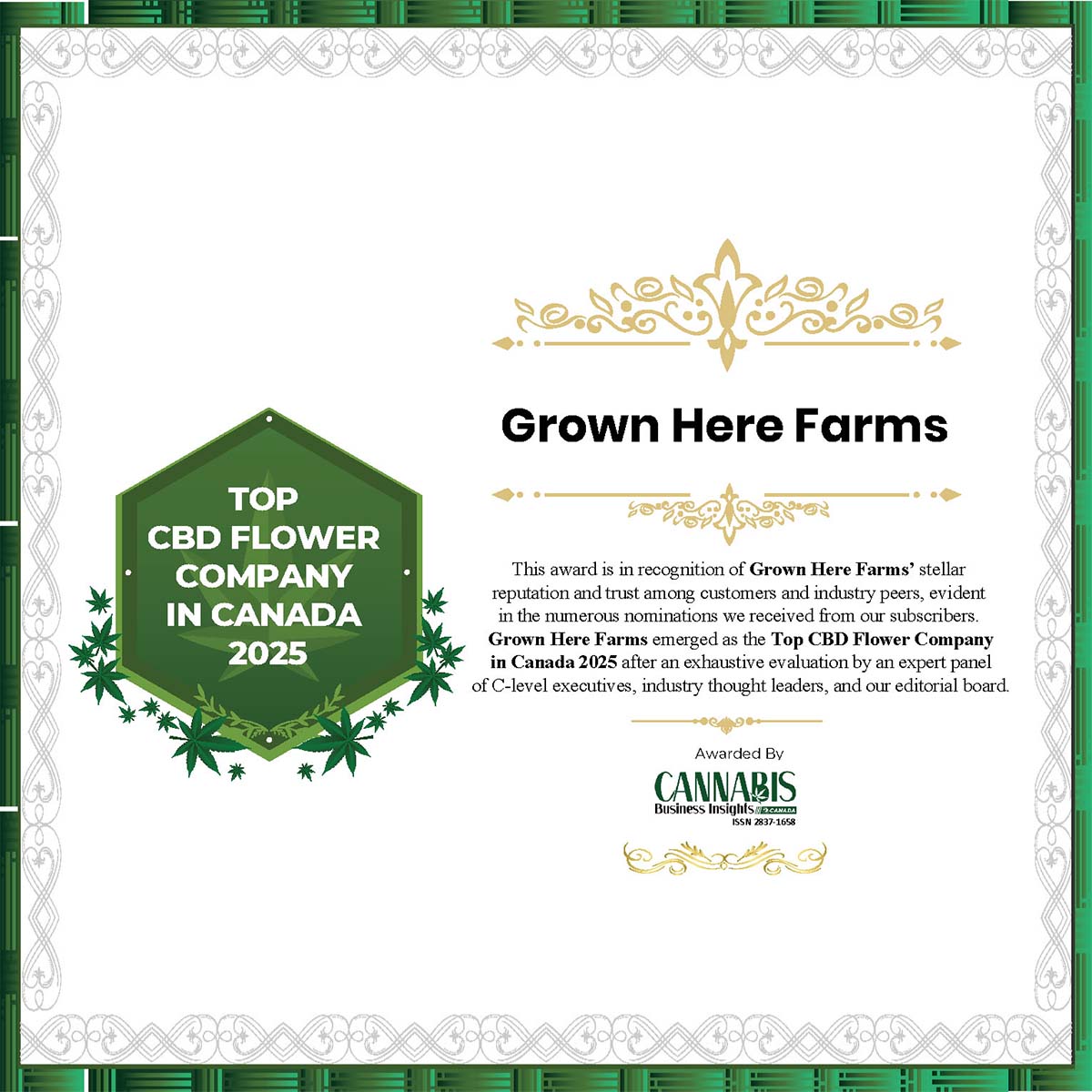 Canada’s best CBD flower? It’s official! Grown Here Farms is the Top CBD Flower Company in Canada 2025. 🎉🌿 Available now on HD Medical and Direct Delivery!