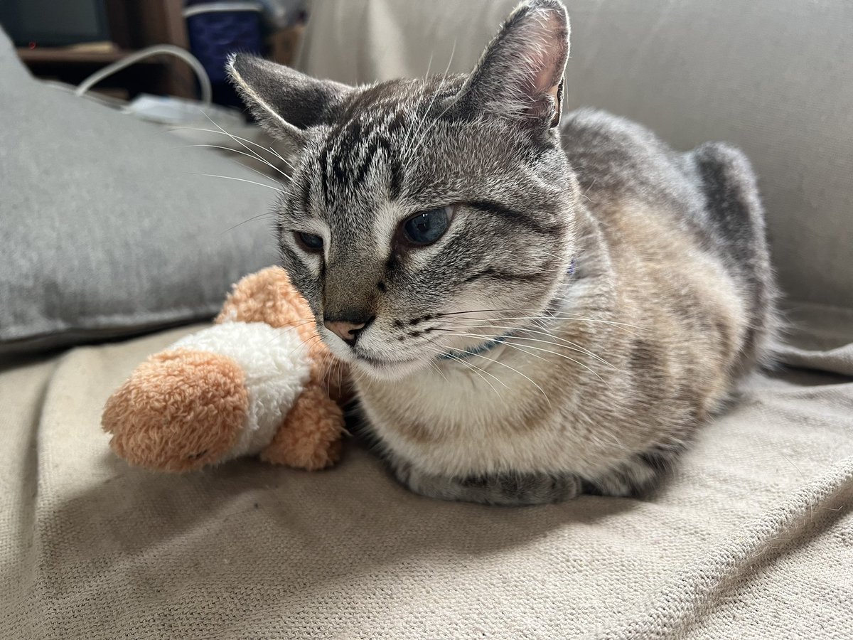 MattApocaalypse's tweet image. Rate this loaf