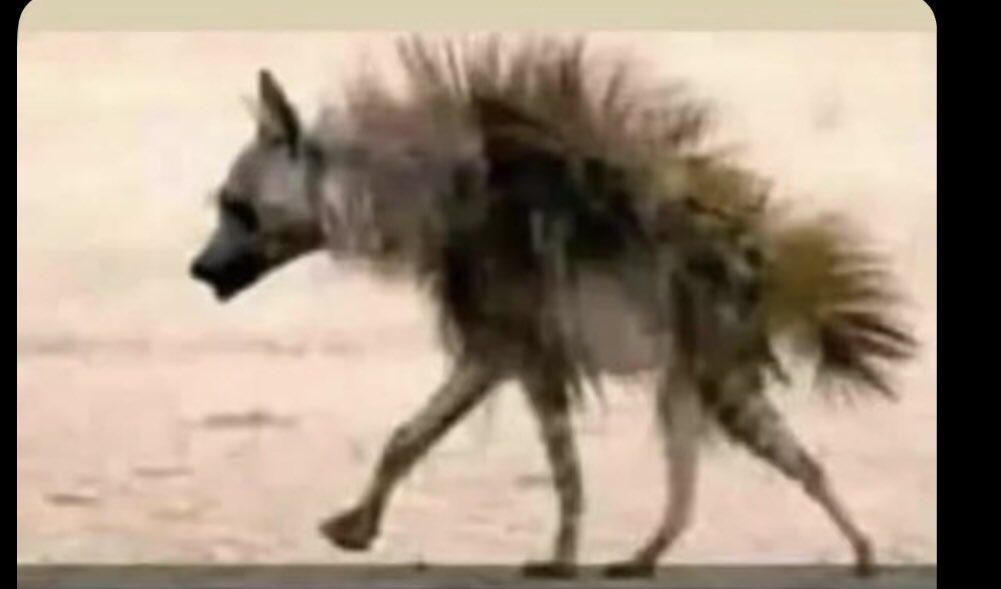 This be how he go see am in the morning 😂😂