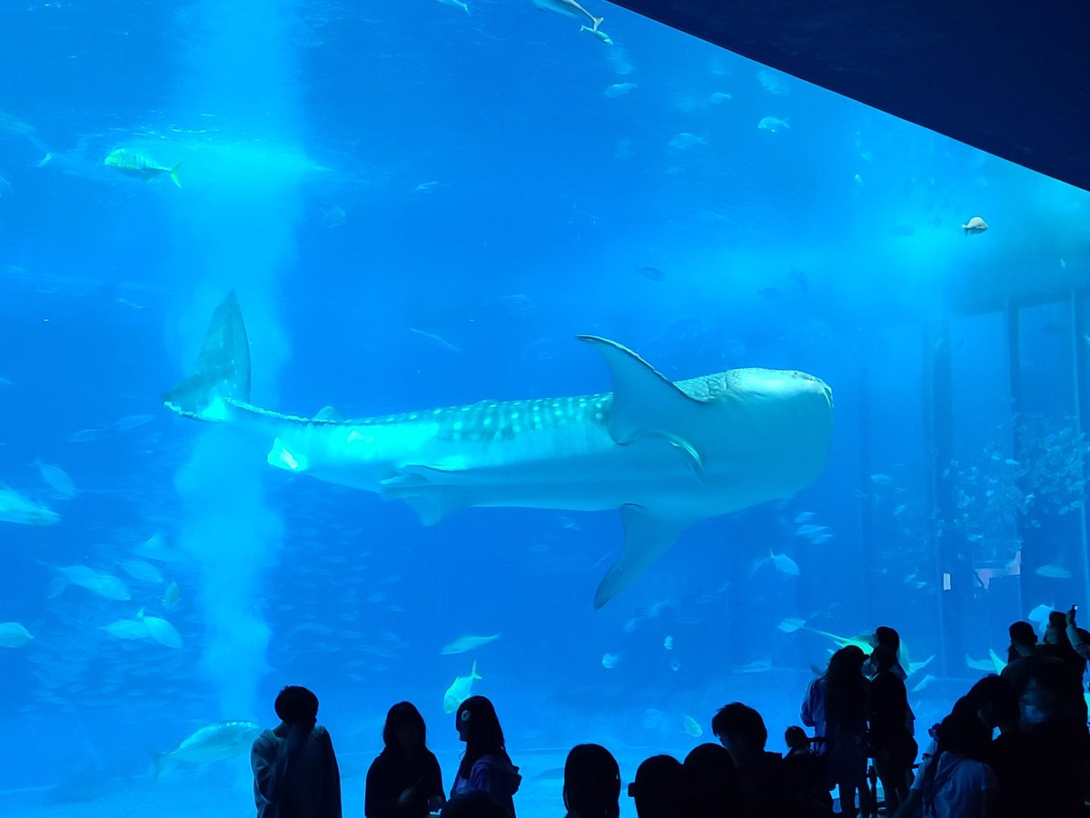 都立葛飾野高等学校 (@katsushikano) on Twitter photo 