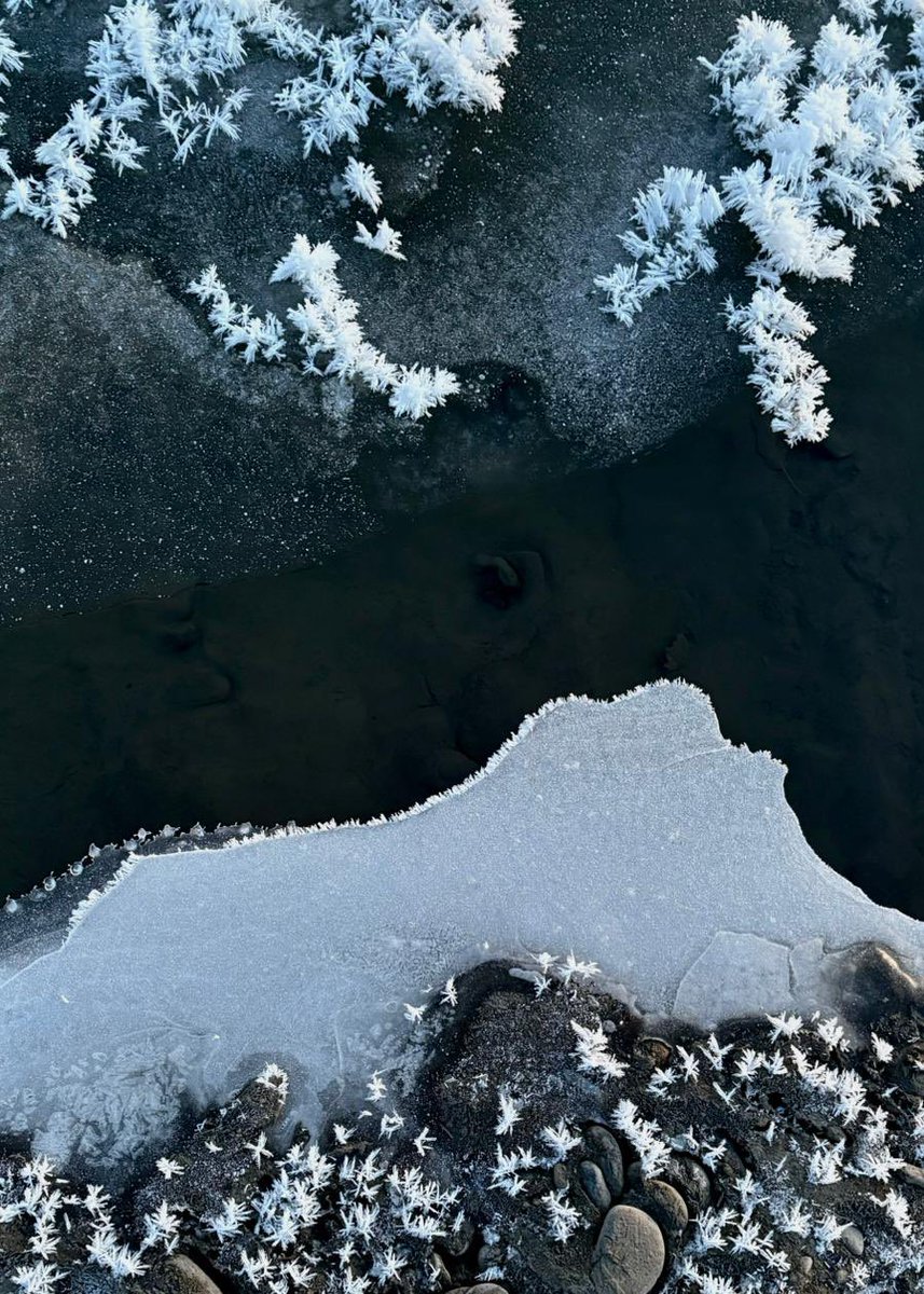 matchabae99's tweet image. i will embrace winter this year