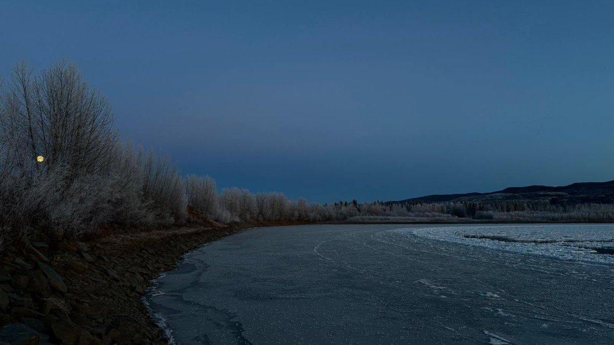 matchabae99's tweet image. i will embrace winter this year