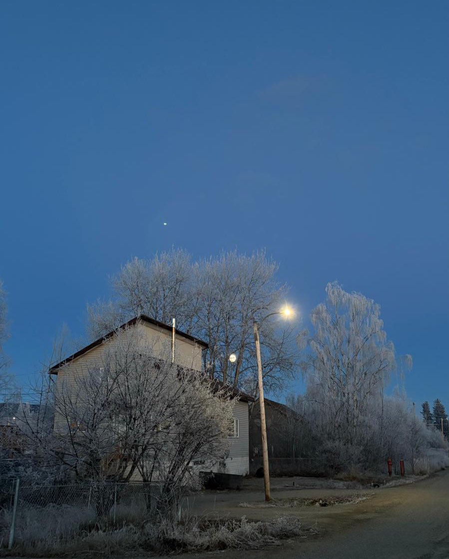 matchabae99's tweet image. i will embrace winter this year