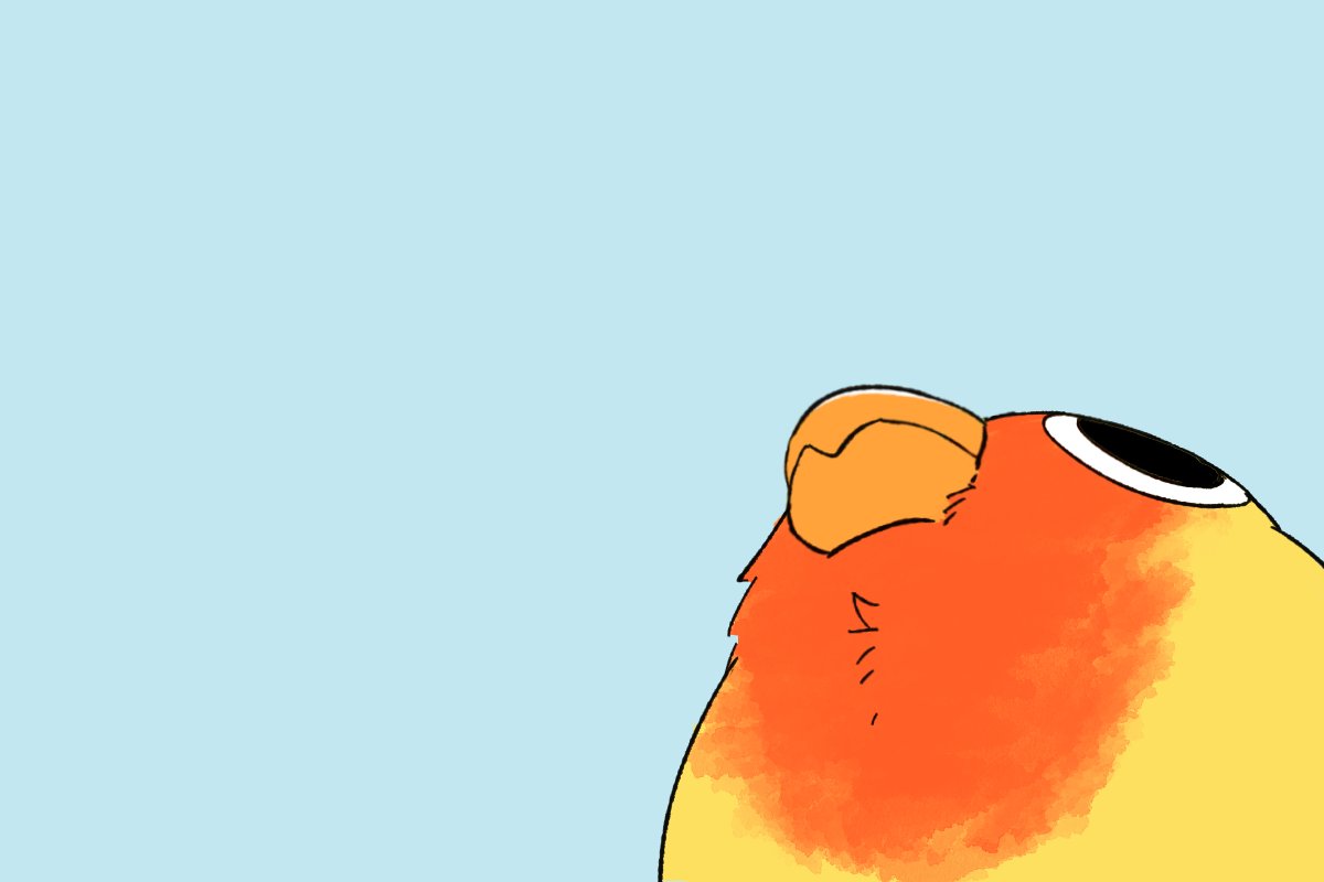 PeachyTheParrot | 小鸚阿桃 (@peachytheparrot) on Twitter photo 