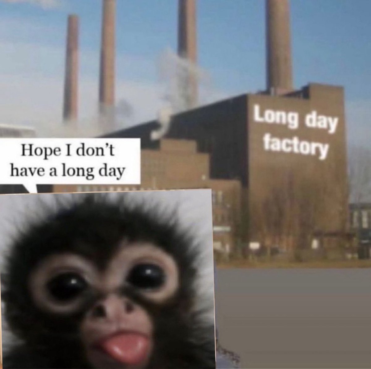 fuckasparagus's tweet image. 